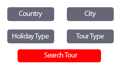 Tour search engine